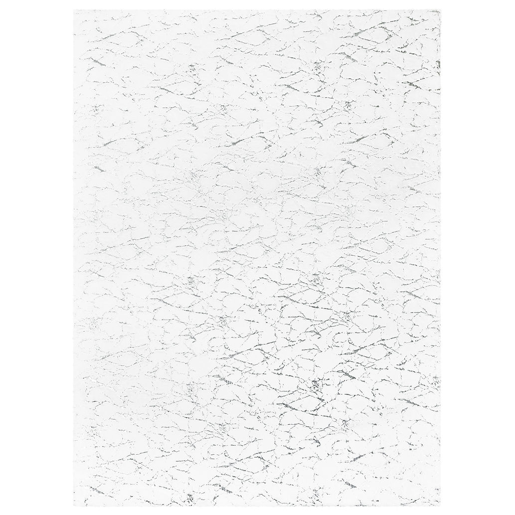 Rabbit White/Silver